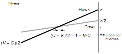 154_evolutionary games1.png